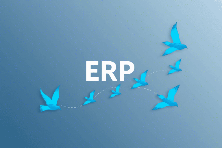 系统管理ERP怎么做？如何高效实施与优化企业资源计划系统？