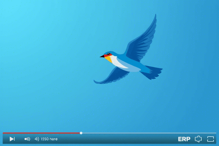 ERP软件视频教学：如何高效学习和掌握企业资源计划系统