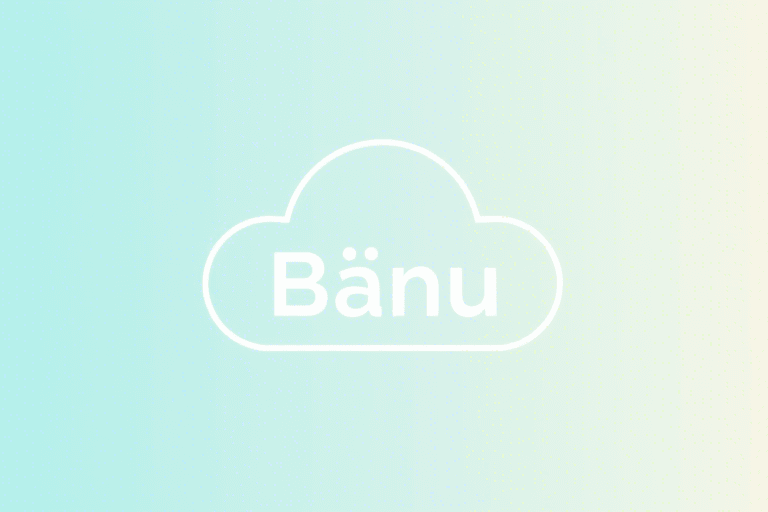 管家婆云erp客户端如何操作？全面解析其功能与使用方法